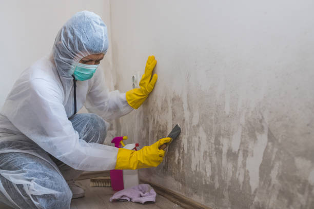 Best Residential Mold Removal  in Narrows, VA