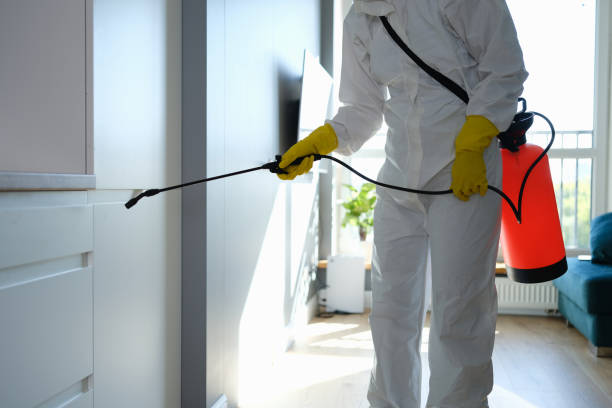Best Commercial Mold Removal  in Narrows, VA